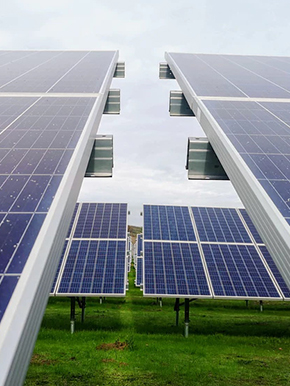 fuwu03637112242465976932