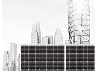 未标题-1637203196917754523