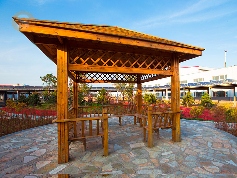 金龙迎宾·(中国)有限公司官网