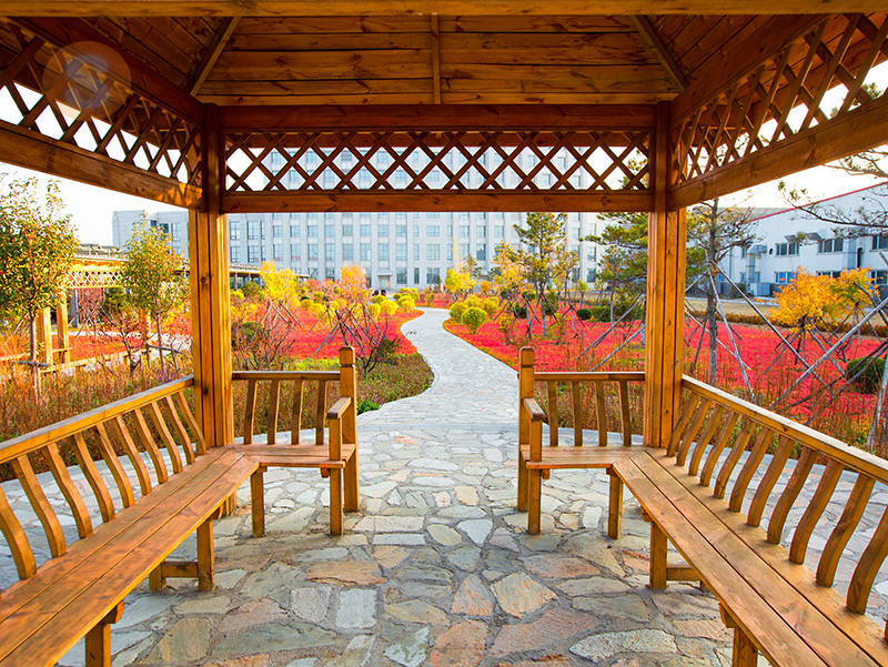 金龙迎宾·(中国)有限公司官网