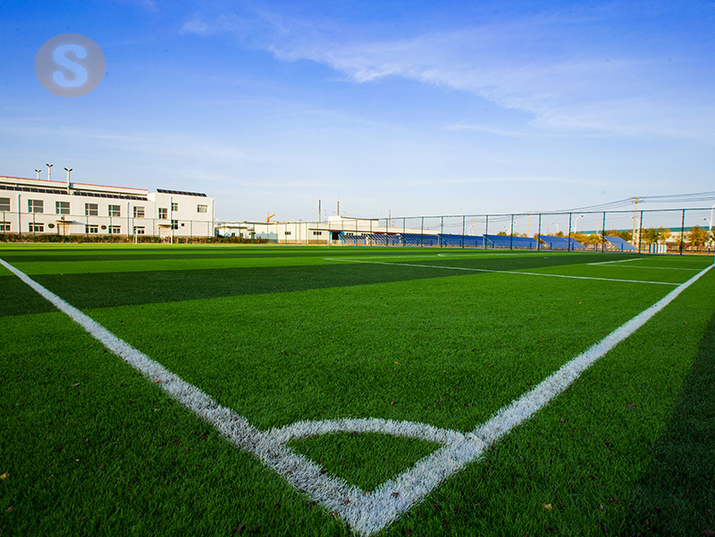 金龙迎宾·(中国)有限公司官网