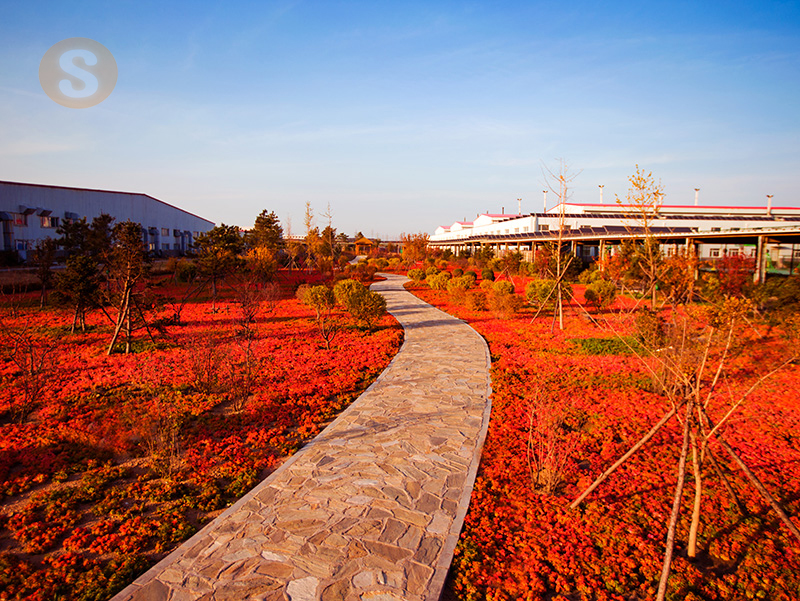 金龙迎宾·(中国)有限公司官网