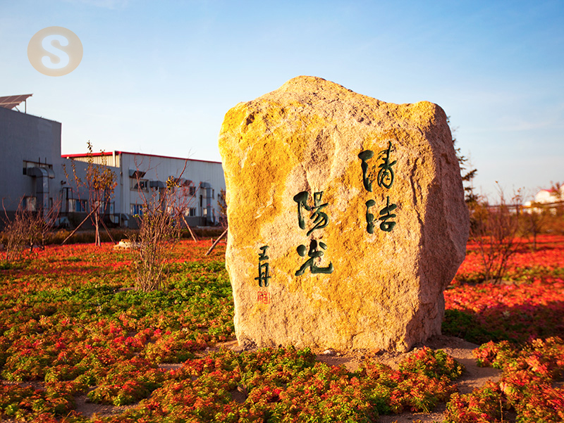 金龙迎宾·(中国)有限公司官网