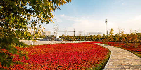 金龙迎宾·(中国)有限公司官网