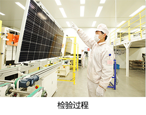 金龙迎宾·(中国)有限公司官网