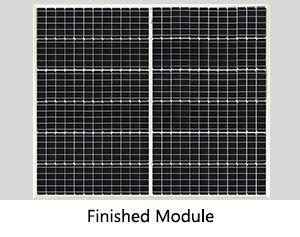 金龙迎宾·(中国)有限公司官网