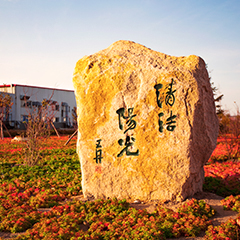 金龙迎宾·(中国)有限公司官网