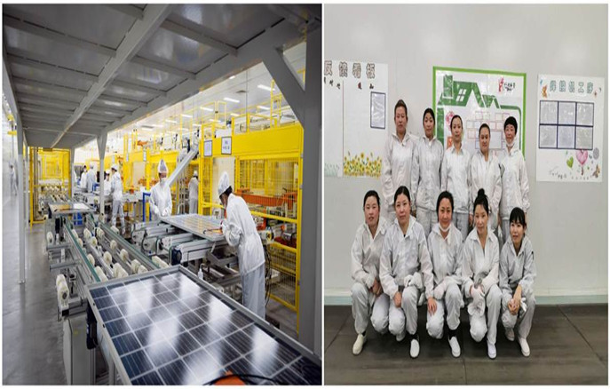 金龙迎宾·(中国)有限公司官网