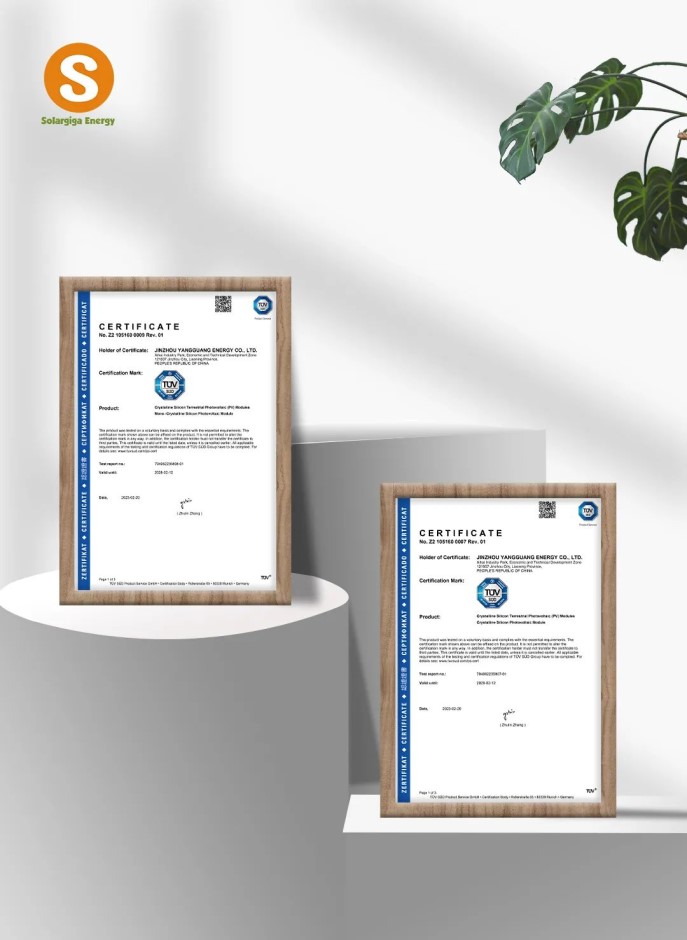 金龙迎宾·(中国)有限公司官网