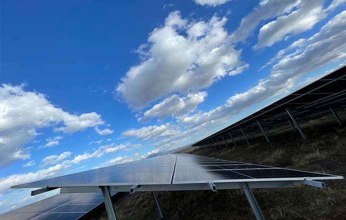 金龙迎宾·(中国)有限公司官网