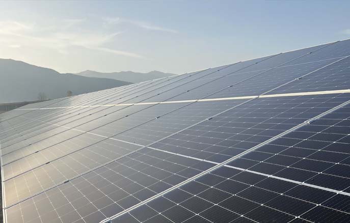 金龙迎宾·(中国)有限公司官网