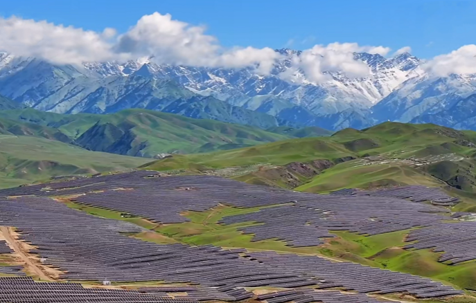 金龙迎宾·(中国)有限公司官网