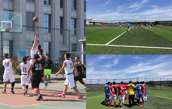 金龙迎宾·(中国)有限公司官网