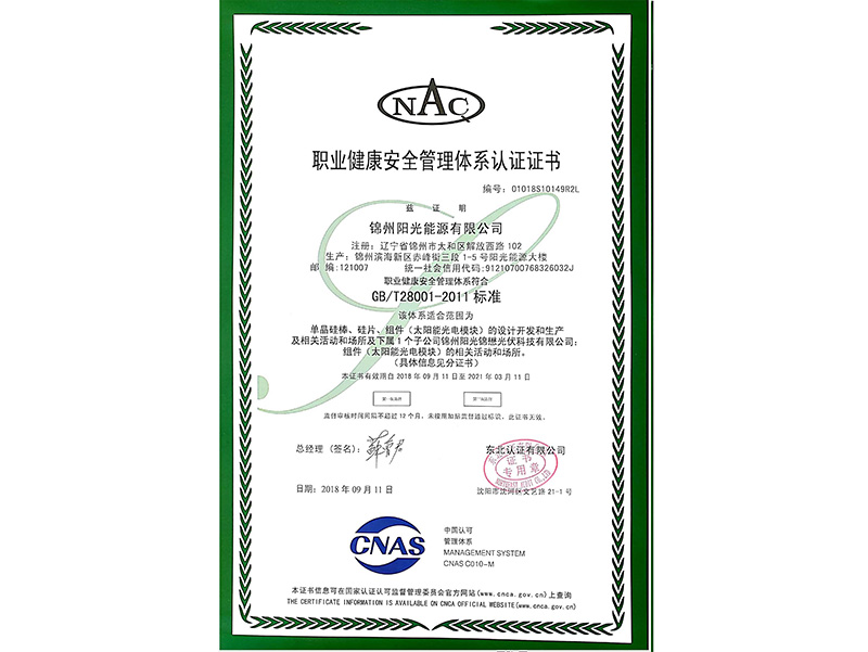 職業健全安全治理體系認證證書（中文）