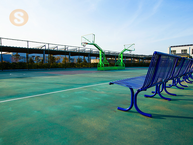 バスス拿トボールのコート