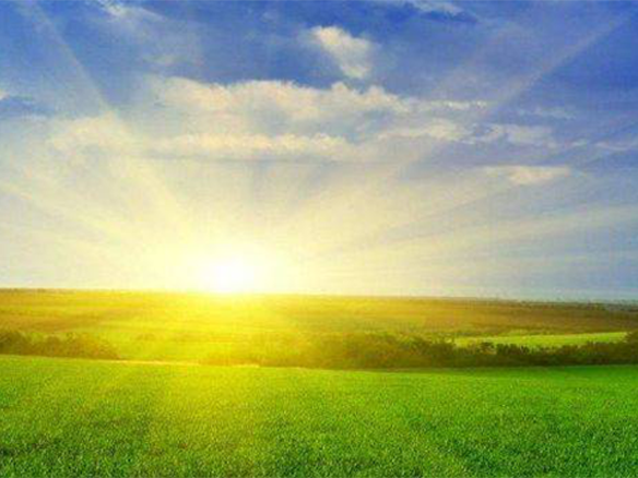 2020H1，锦州阳光戮力同心、运营达满产