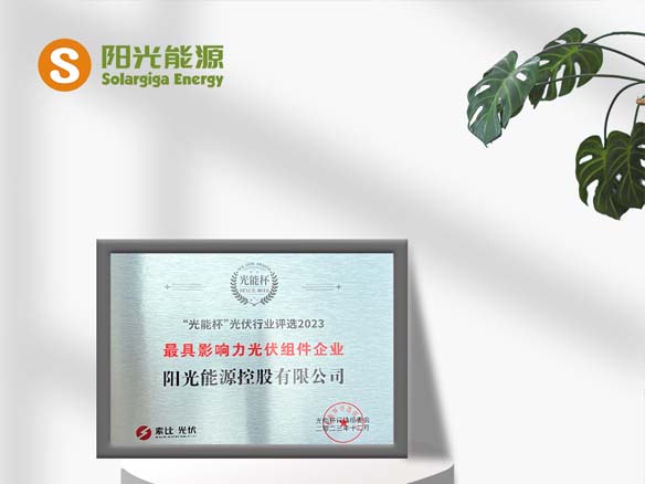 高光时刻 | 金龙迎宾荣获光能杯“最具影响力光伏组件企业”称号