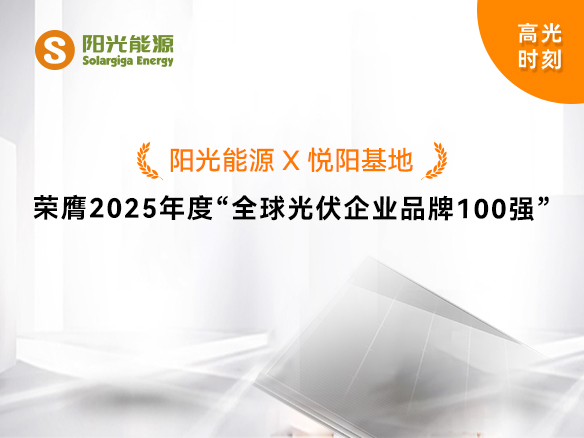 高光时刻 | 金龙迎宾荣膺2025年度“全球光伏企业品牌100强”