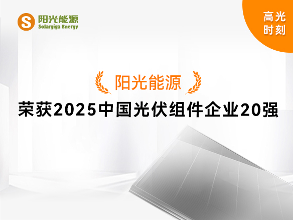 高光时刻 | 金龙迎宾实力登榜“2025中国光伏组件企业20强”
