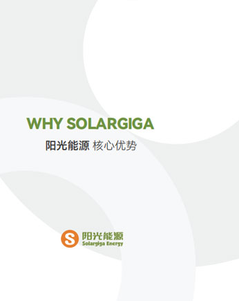 金龙迎宾主题优势